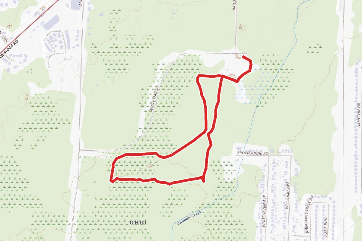 Pin Oak Loop and Extension