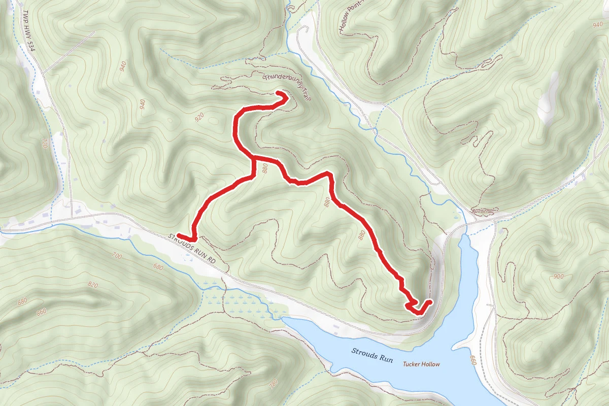 White Pine and Vista Point Trail