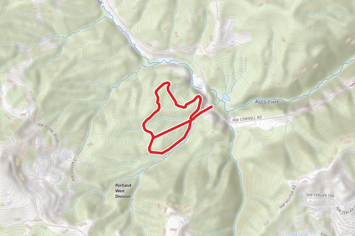Collins Trail
