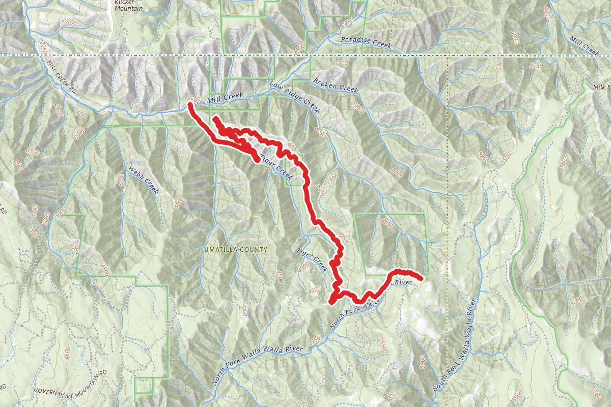Tiger Canyon