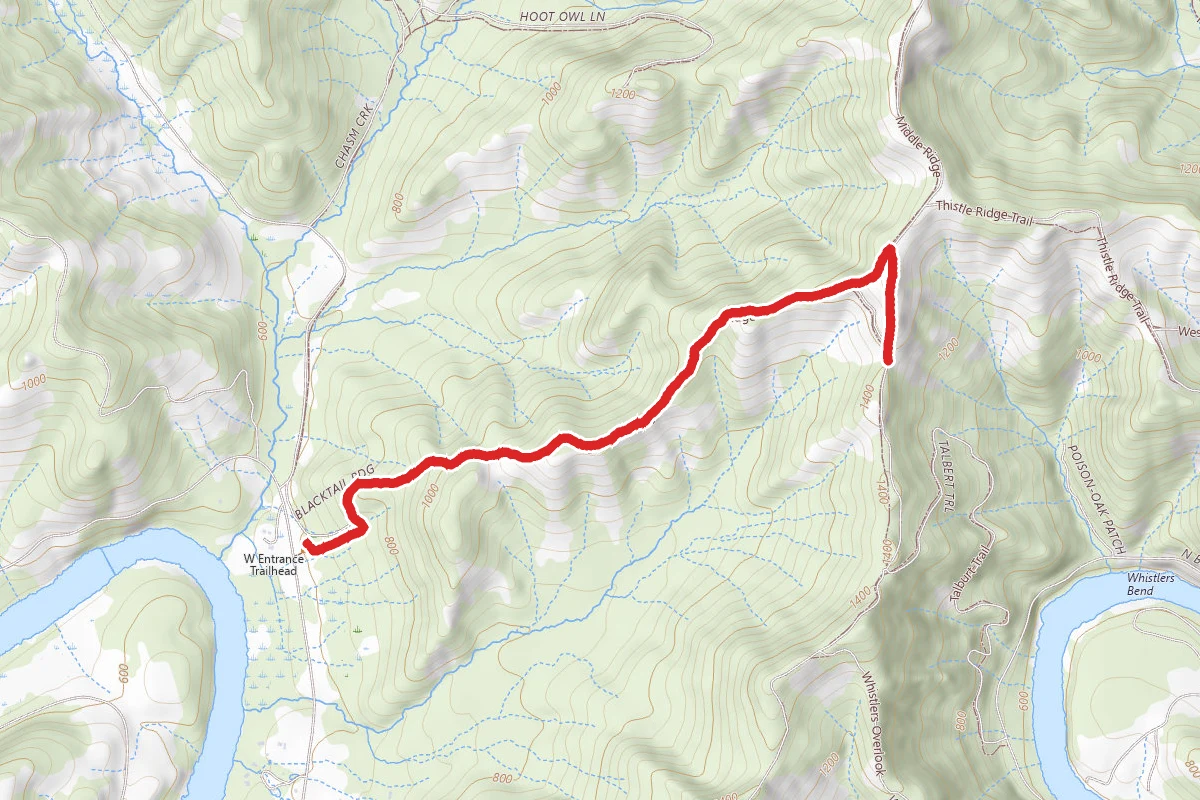 Blacktail Ridge