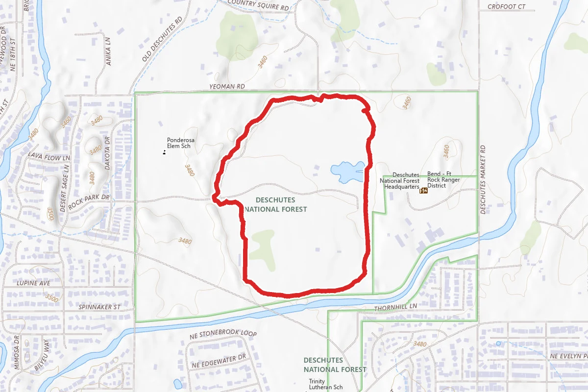 Pine Nursery Park Trail