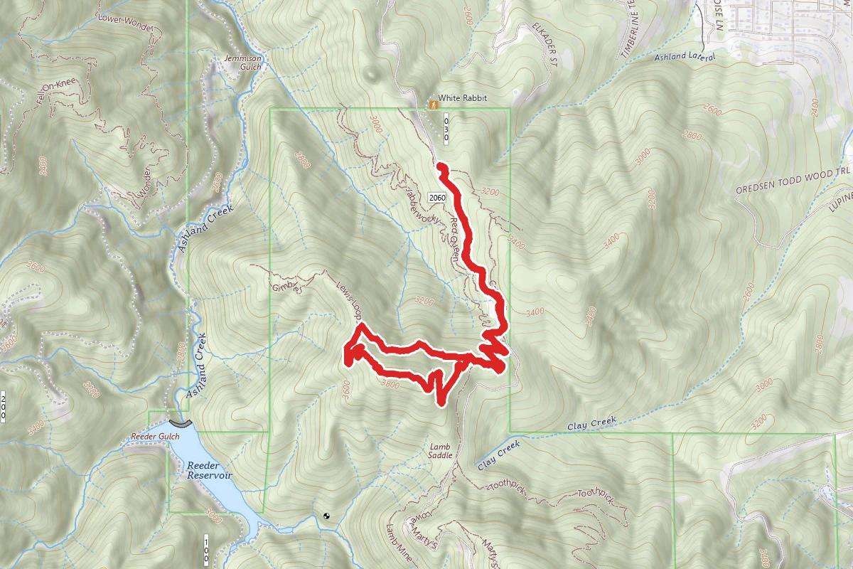 Lewis Loops