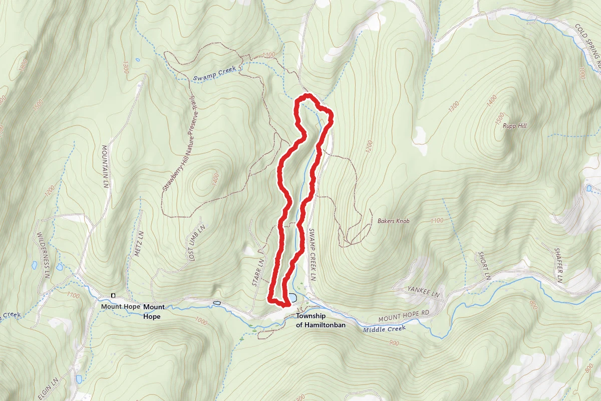 Nature Trail and Swamp Creek Trails Loop
