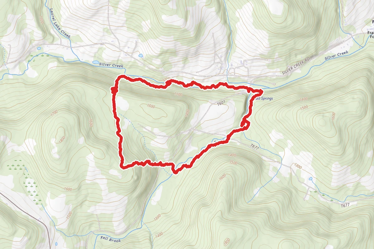 Salt Springs State Park Loop