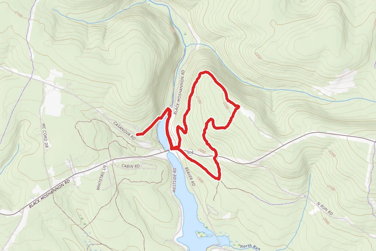 Ski Slope Trail