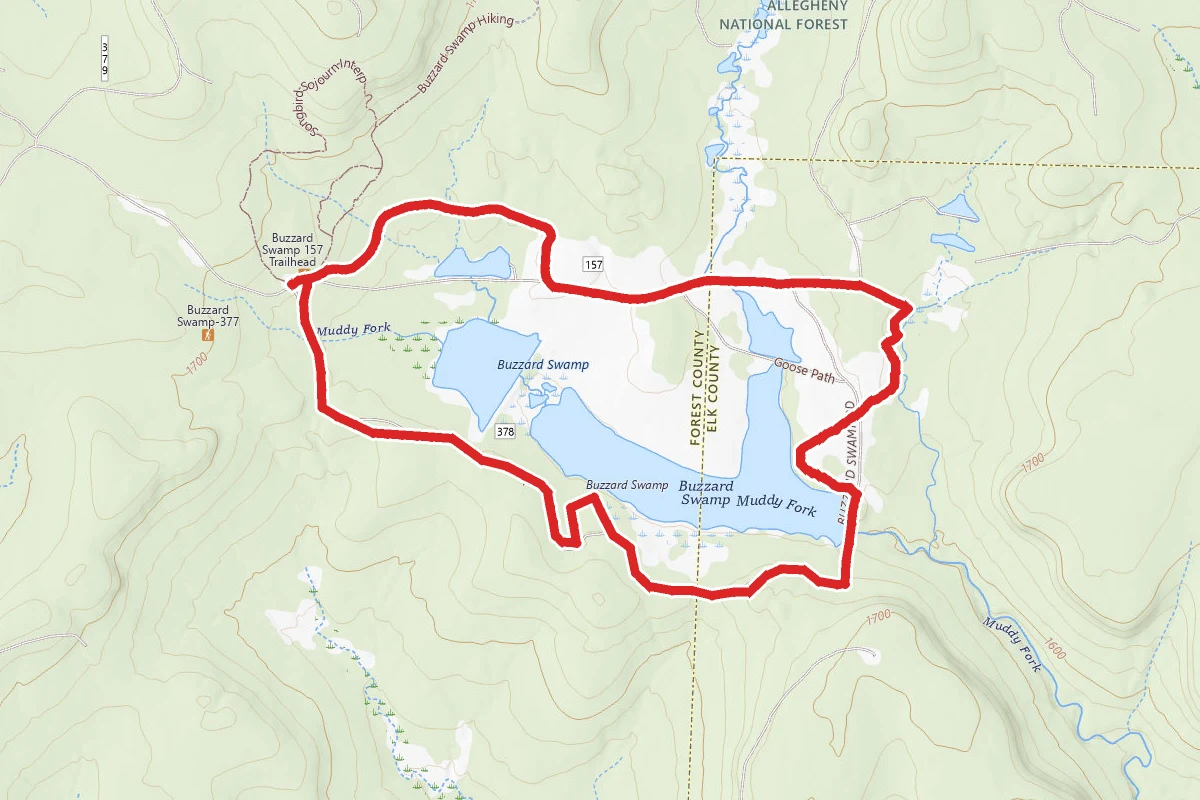 Buzzard Swamp Loop Trail