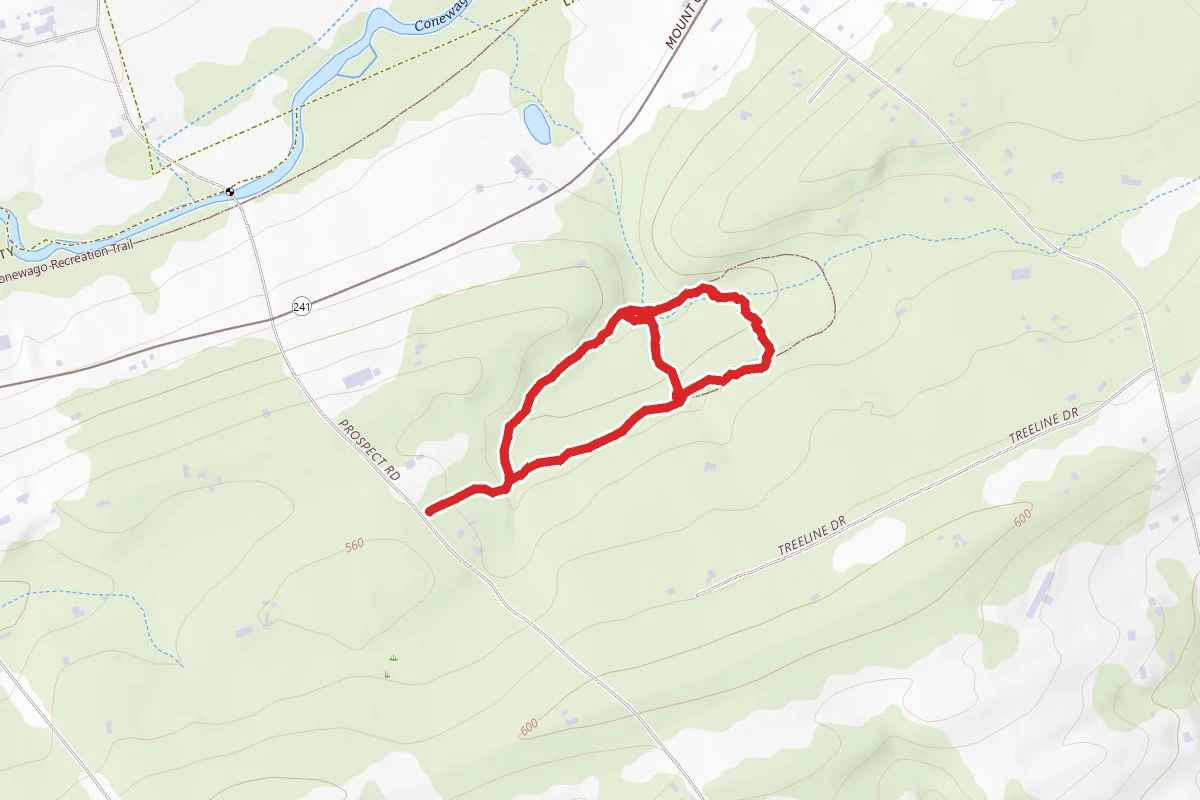 Bellaire Woods Nature Preserve Loop