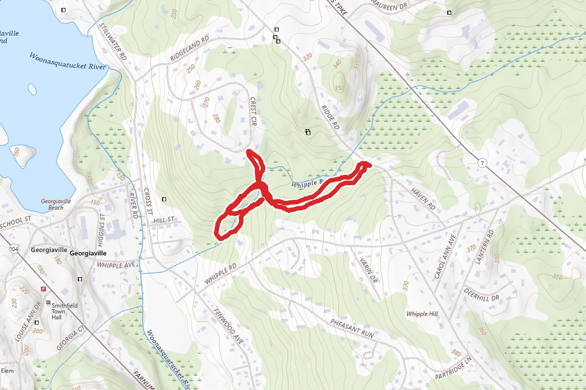 Olivia's Forest Loop