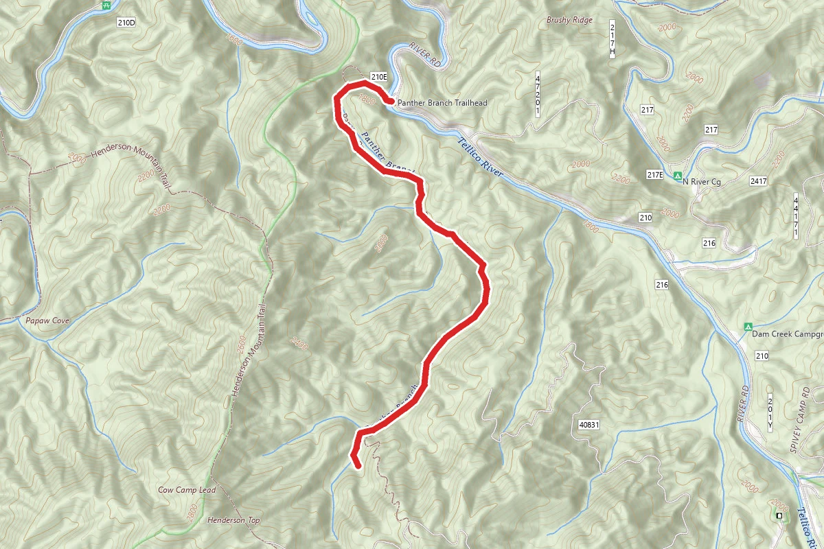 Panther Branch Trail