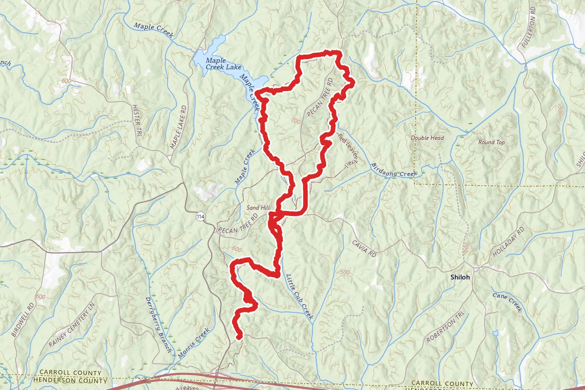 Red Leaves Trail North
