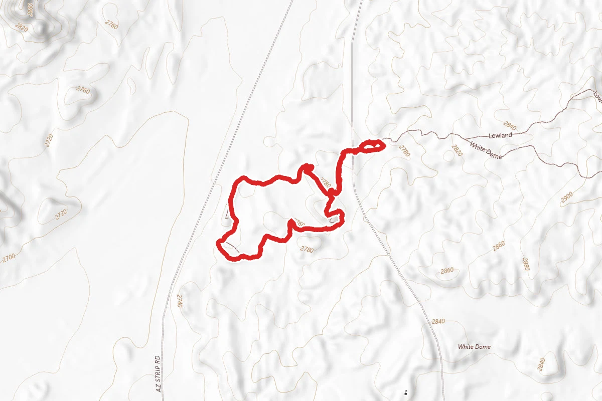 White Dome Biotic Trail
