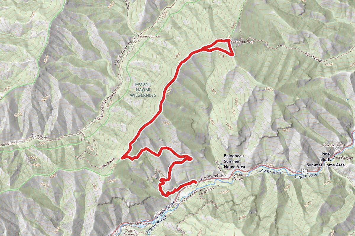 Beirdneau Peak Trail