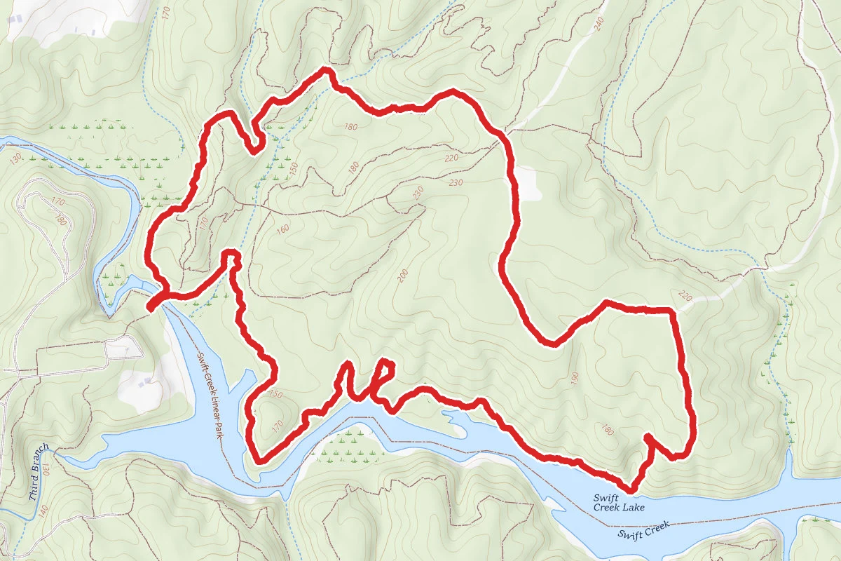 Forest Exploration Trail to Loop Forest Trail