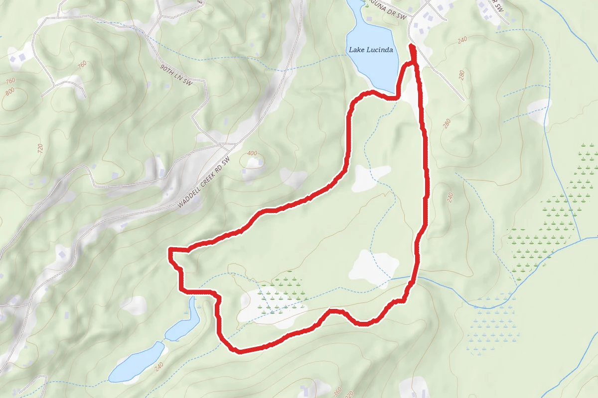 Wetland Forest Loop Trail