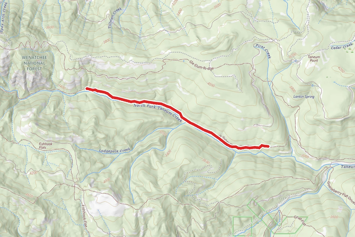 Taneum Creek Trail