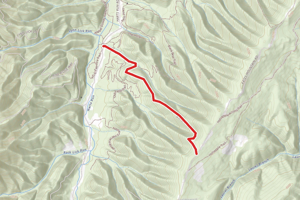Youngs Nature Trail