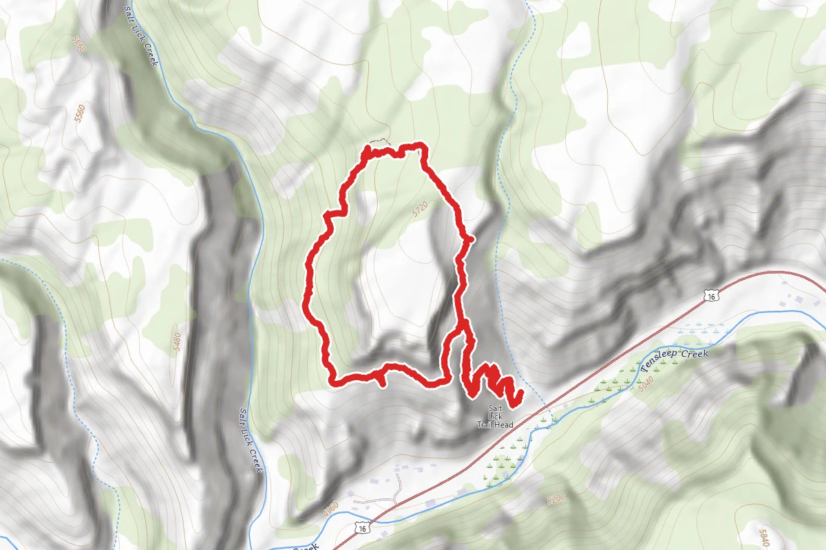 Salt Lick Creek Loop