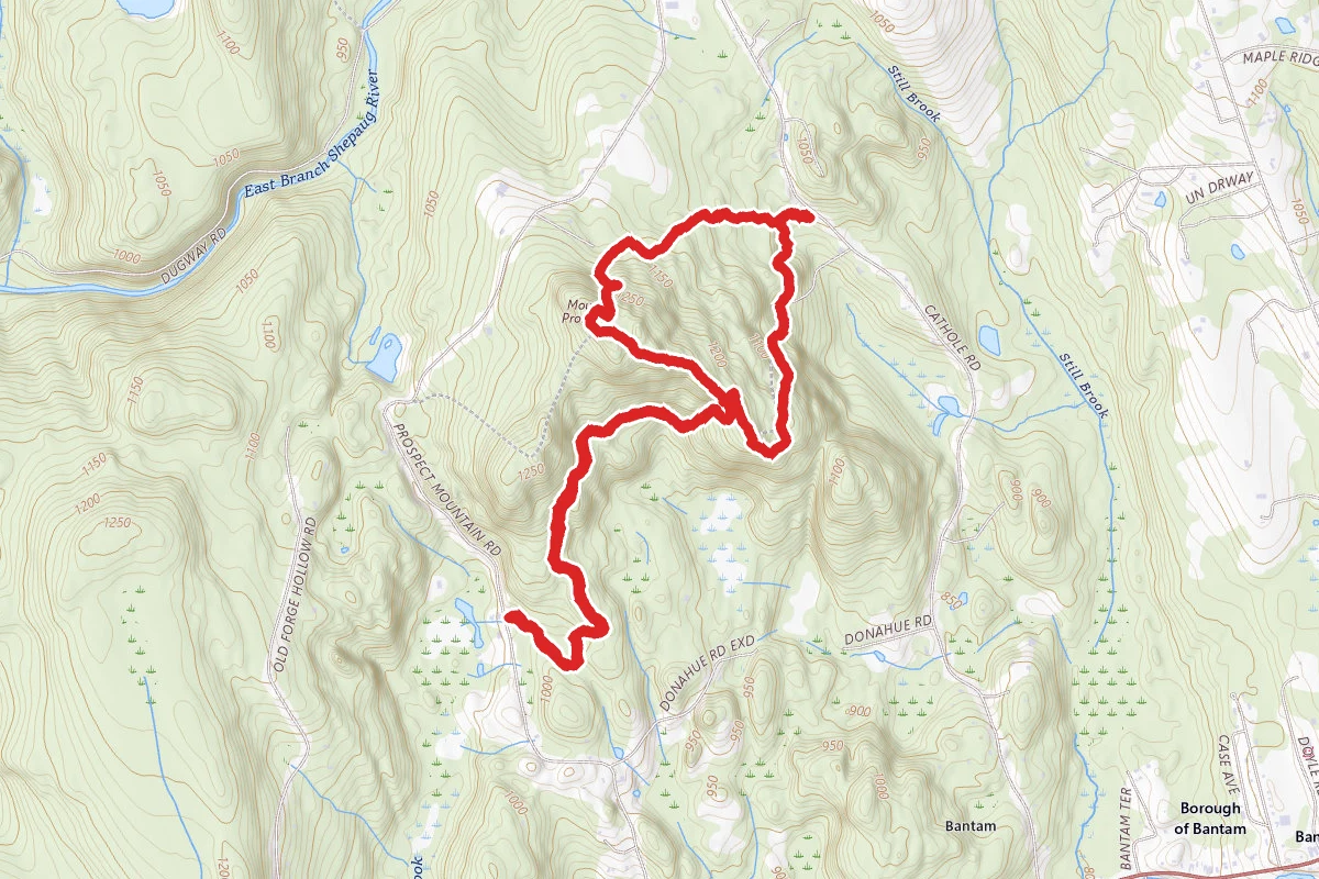 Prospect Mountain Blue, White, and Yellow Blazes