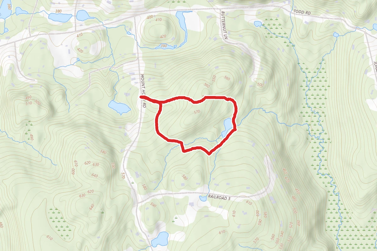 Marian Yarrow Green Trail