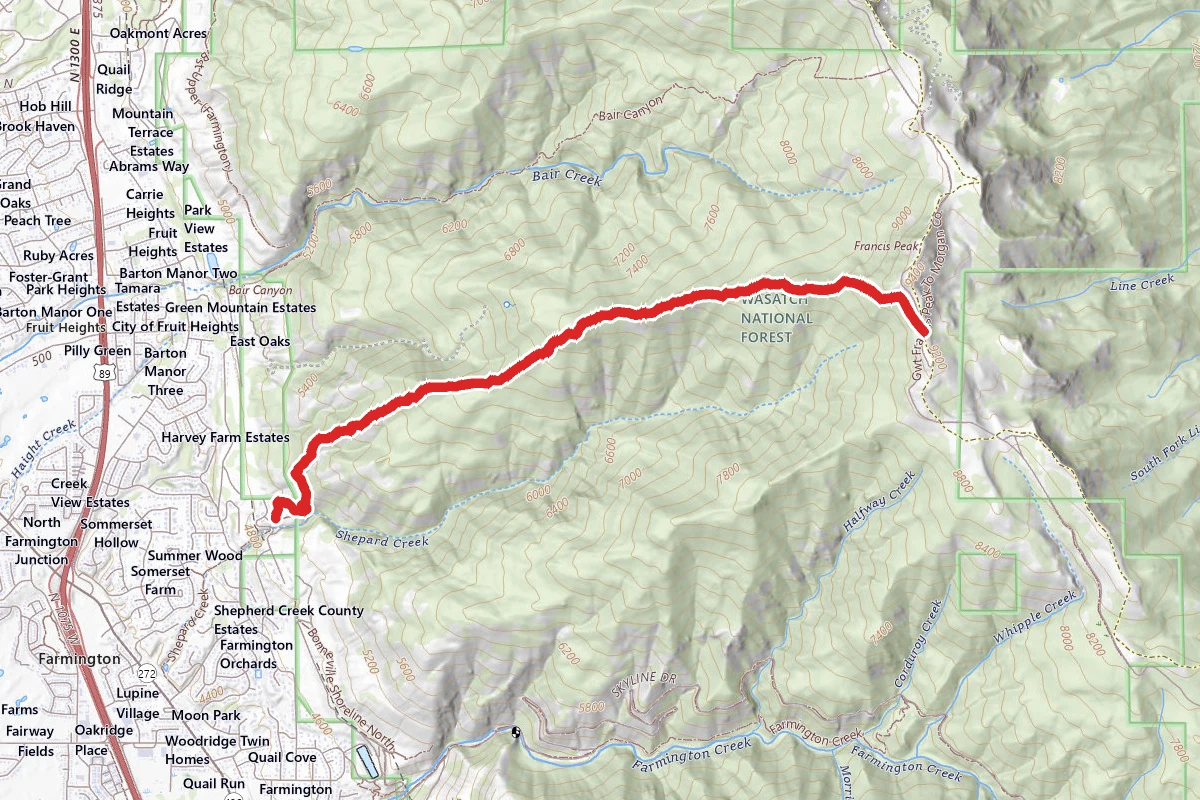 Wolverine Ridge Trail