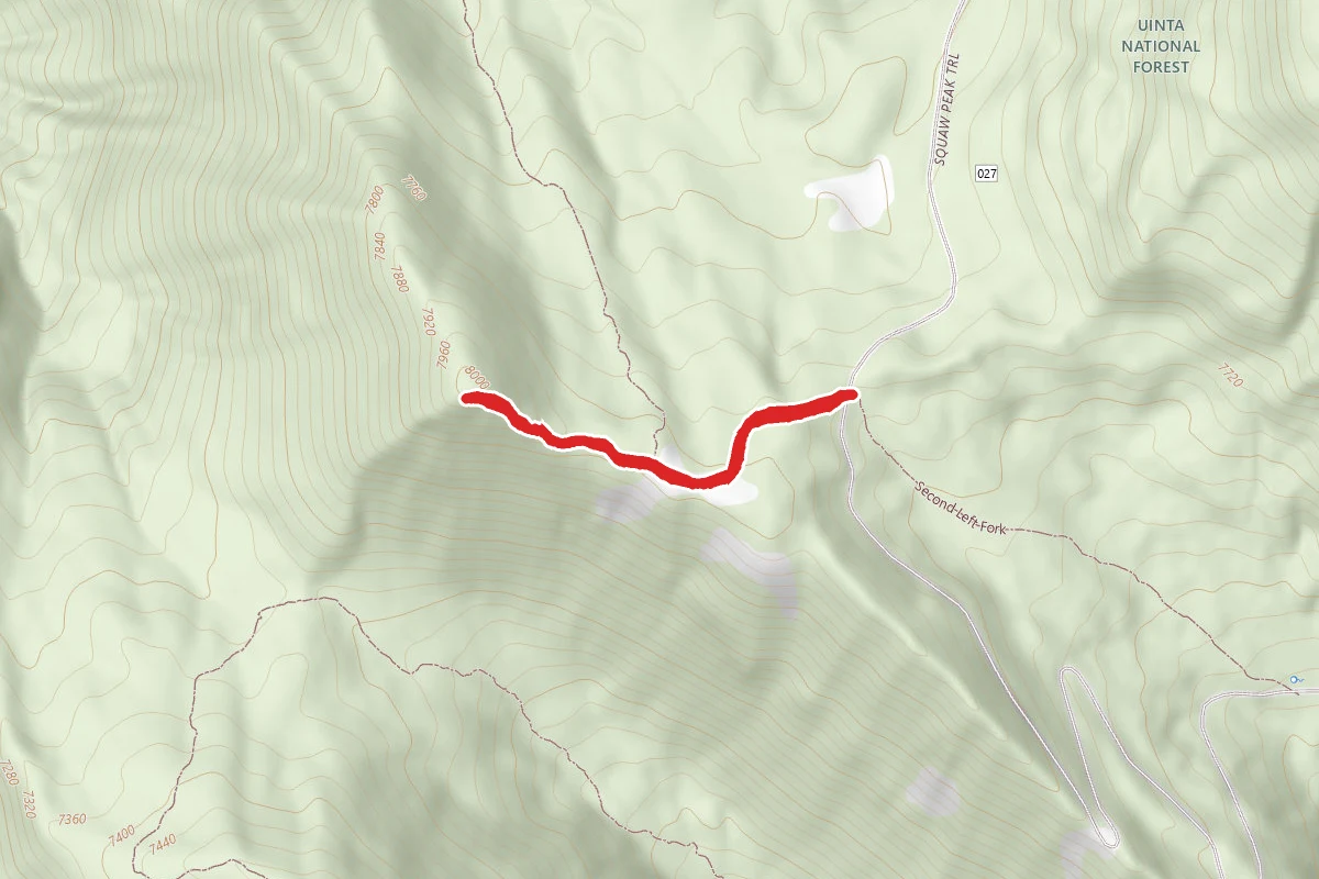 Buffalo Peak Trail