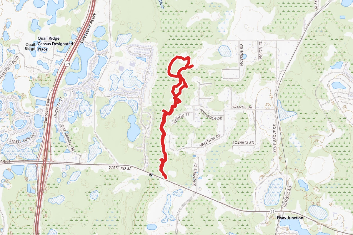 Upper Pithlachascotee River Loop
