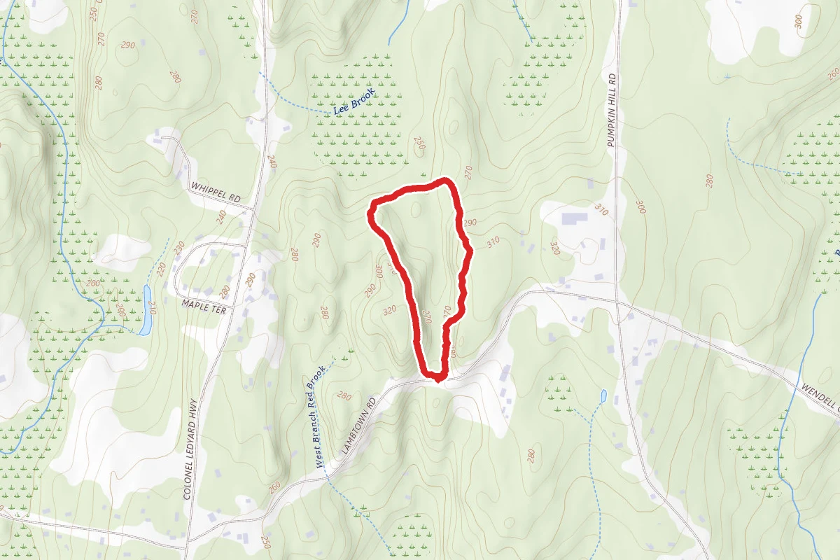 Pike-Marshall Preserve Nature Trail Loop