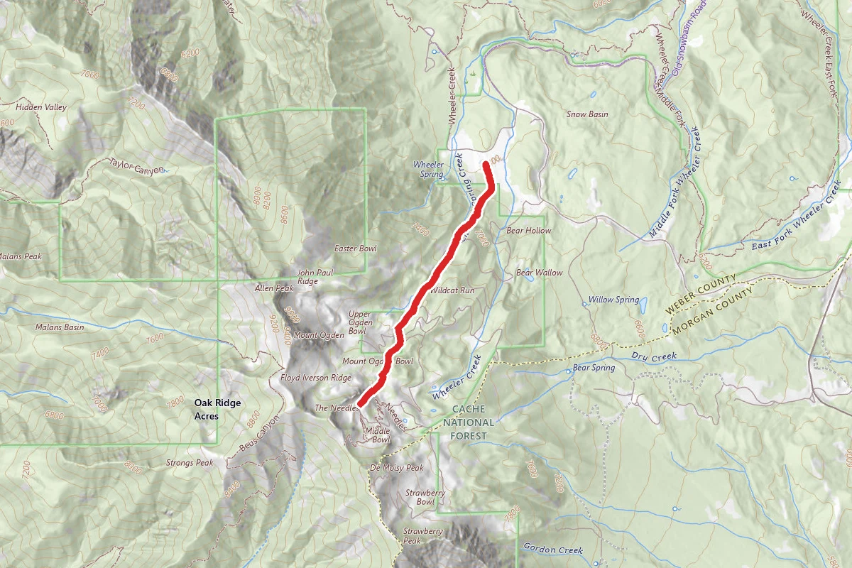 Snowbasin Needles Trail via Porcupine Trail
