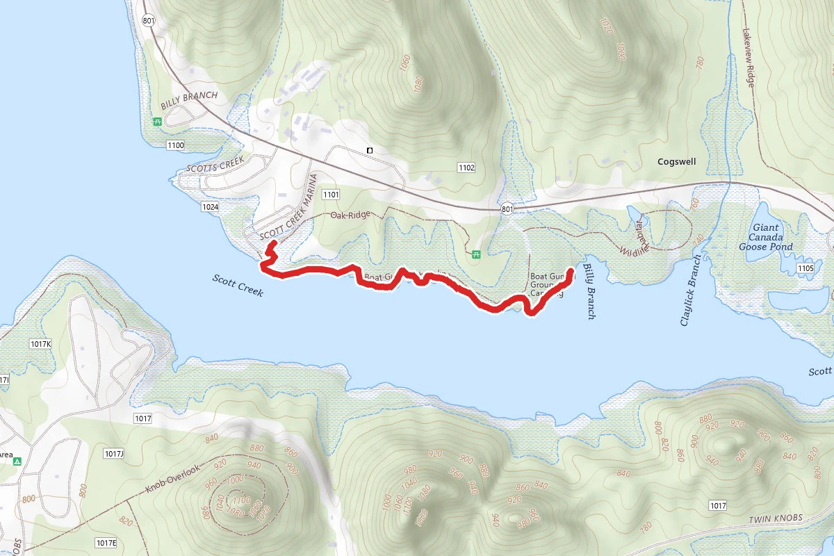 Boat Gunnel Shoreline Trail