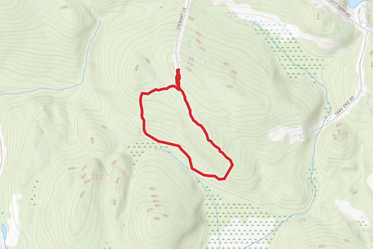 Stewart Preserve - Orange Trail
