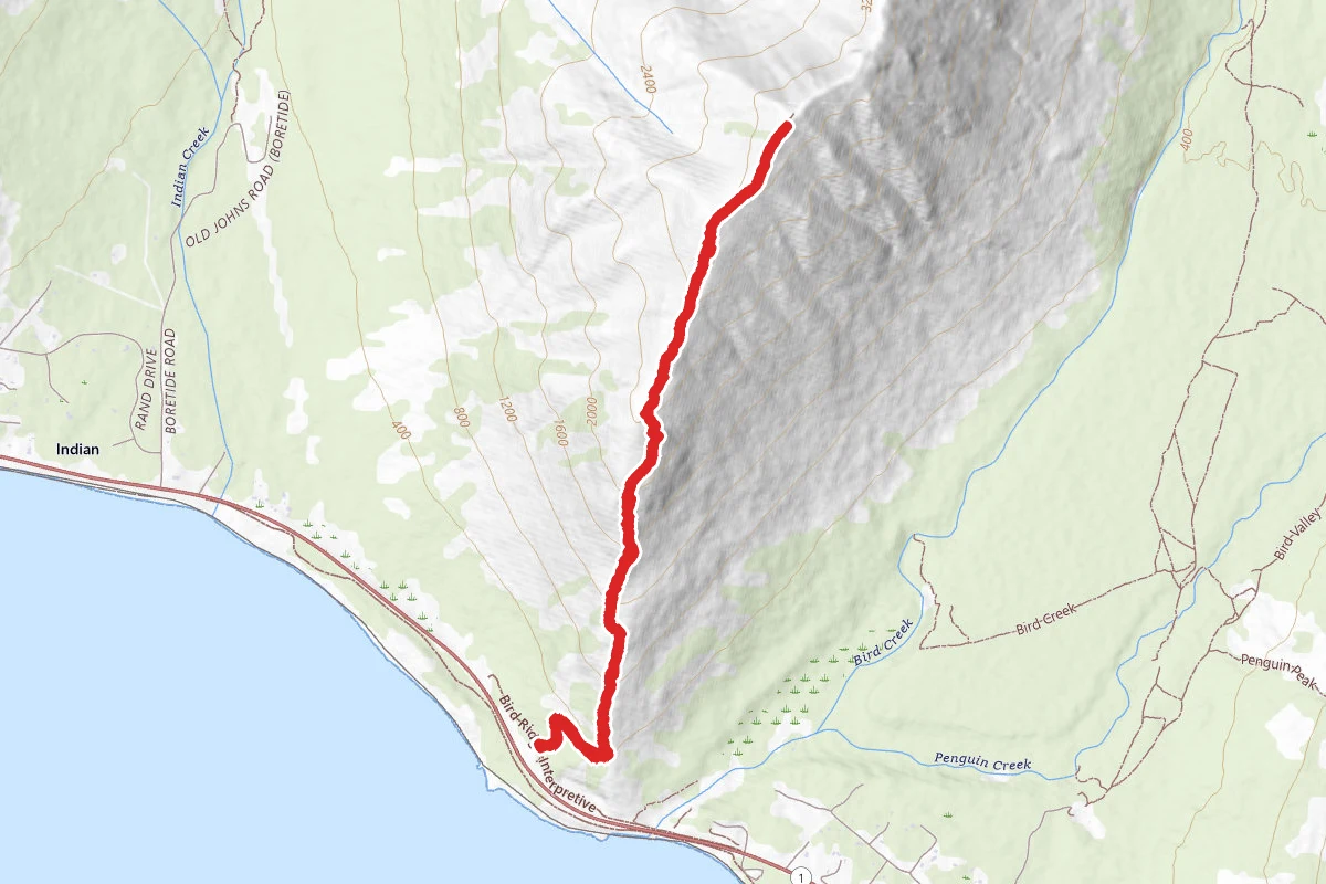 Bird Ridge Trail