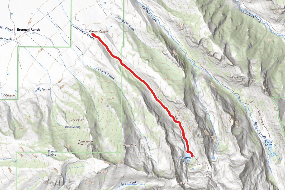 Ruby Dome Trail