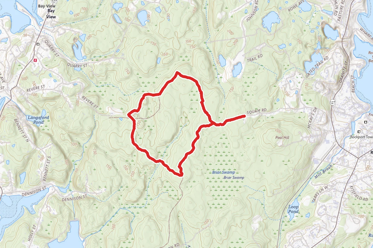 Norton's Tree Farm Loop via Squam, Dennison, and Luce Trails