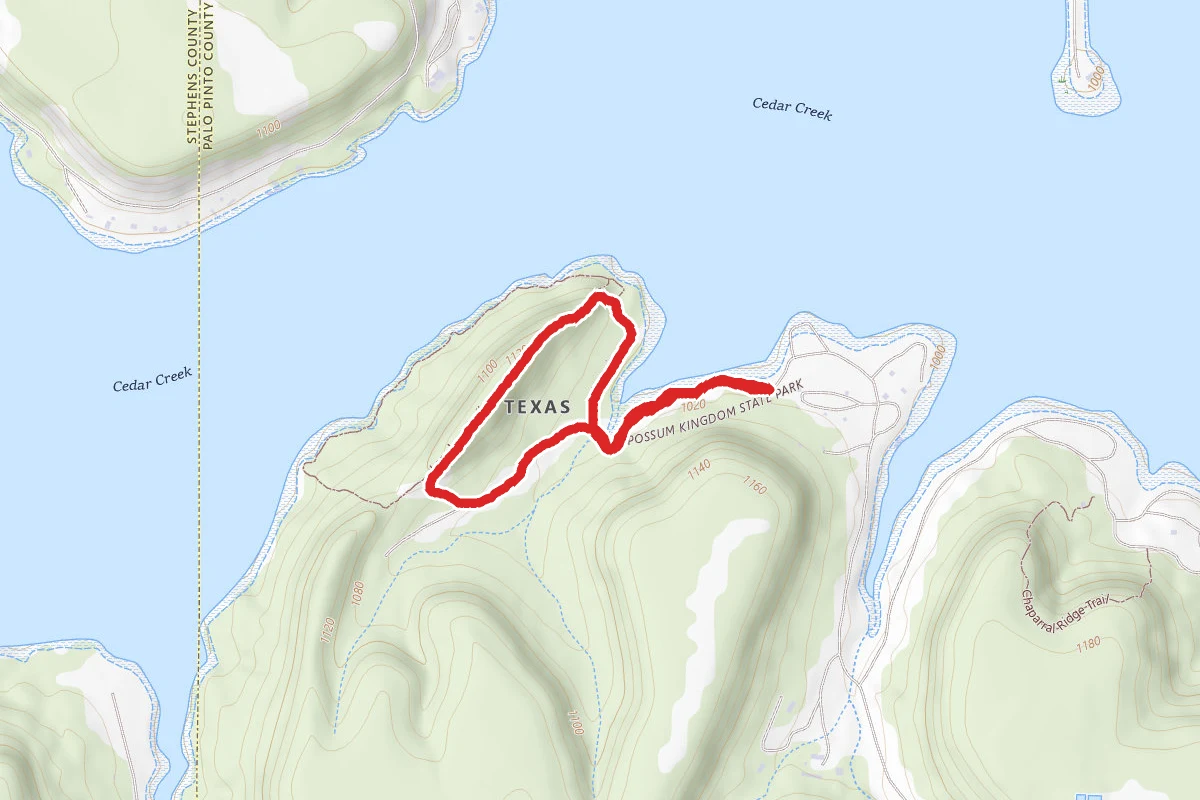 Longhorn Loop