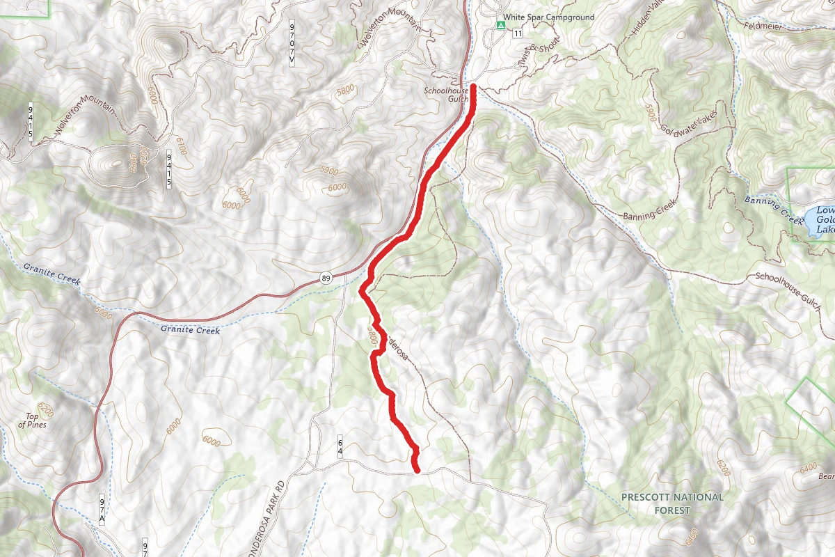 Ponderosa Trail #382
