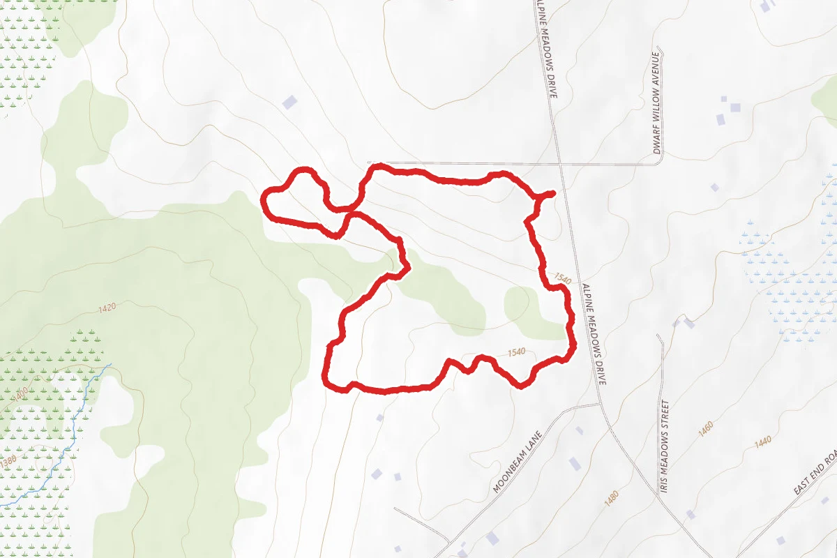 Alpine Meadow Trail