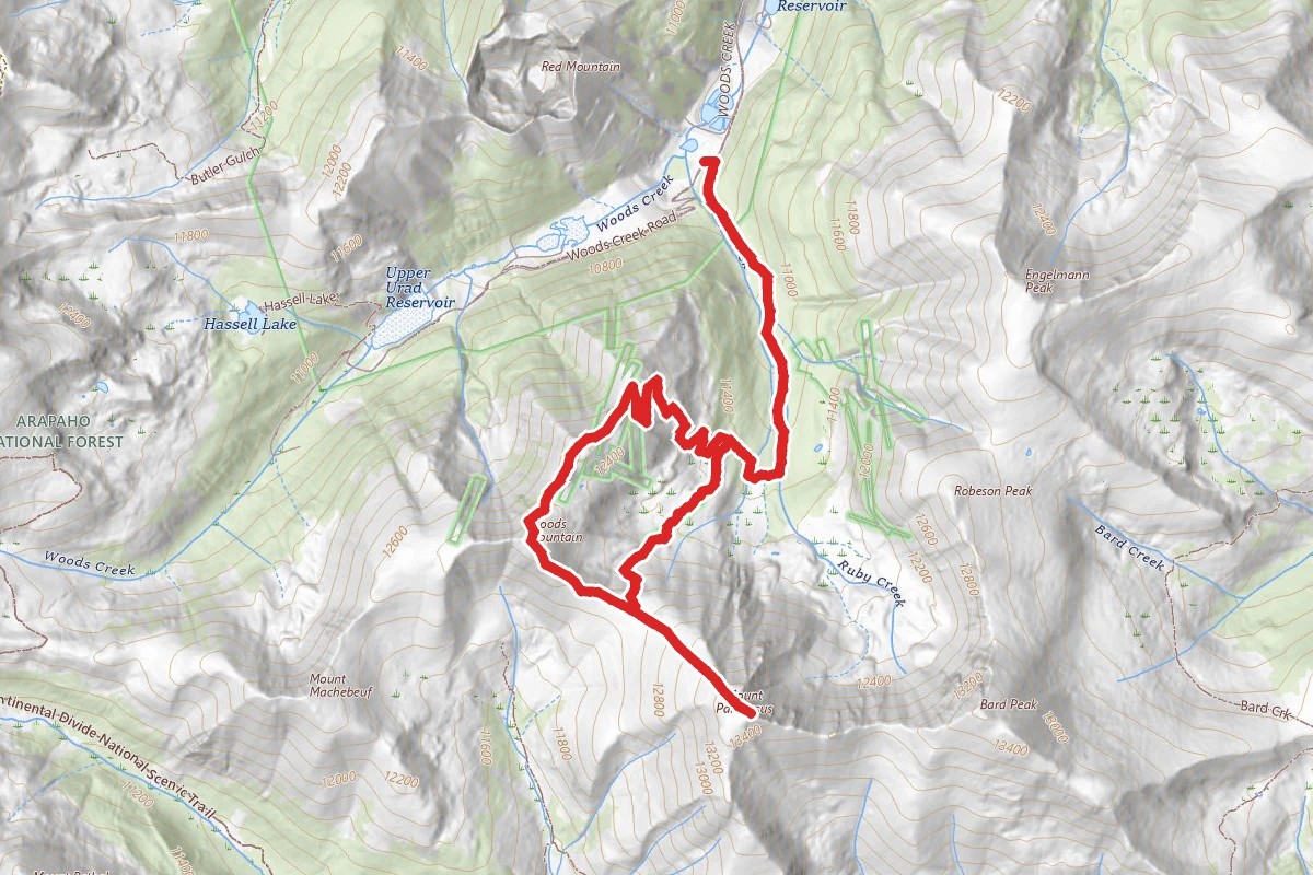 Woods and Parnassus Mountain