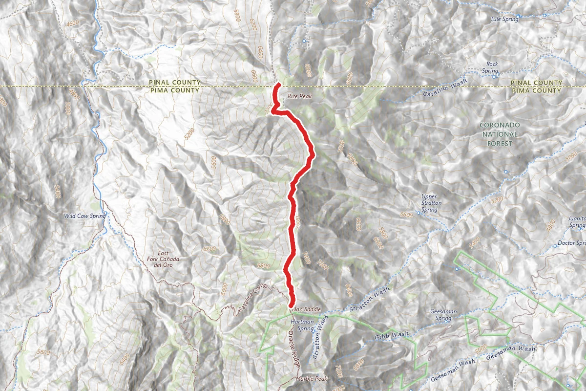 Rice Peak Trail
