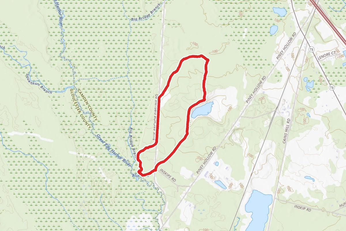 Inskip Road Loop