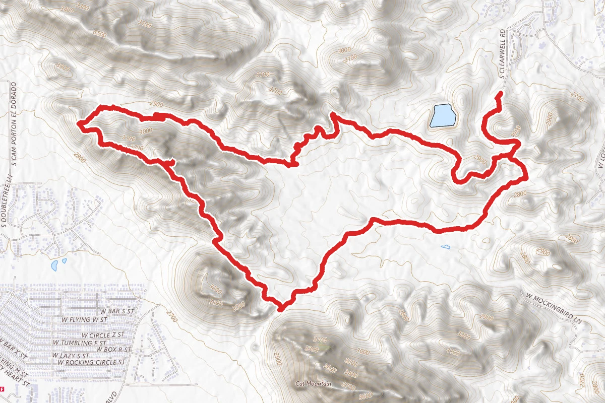 Rock Wren, Starr Pass, and Little Cat Loop