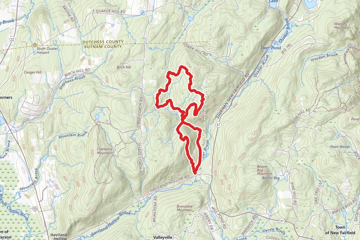 Michael Ciaiola Conservation Area Trail