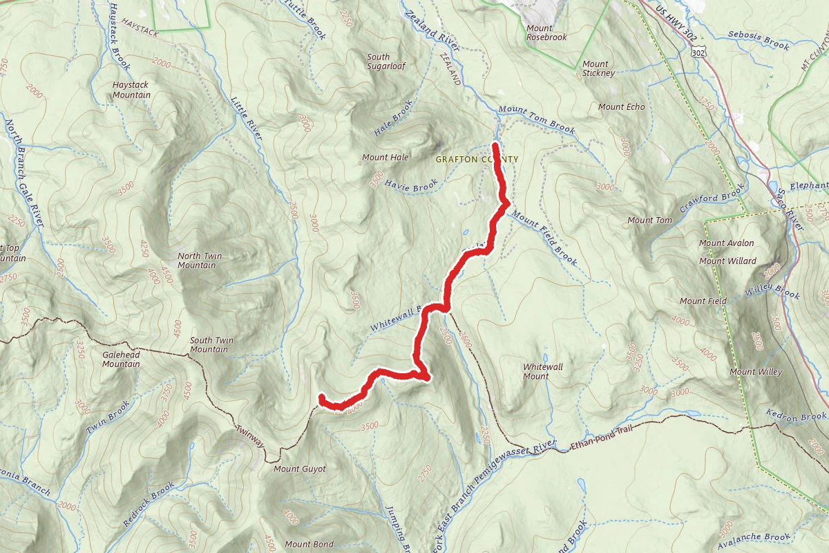 Zealand Summit via Zealand Trail and Appalachian Trail