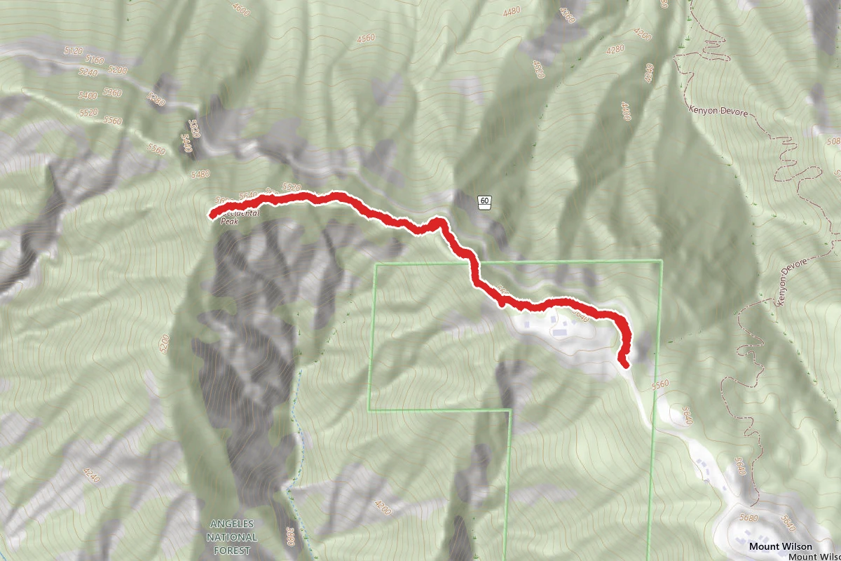 Occidental Peak