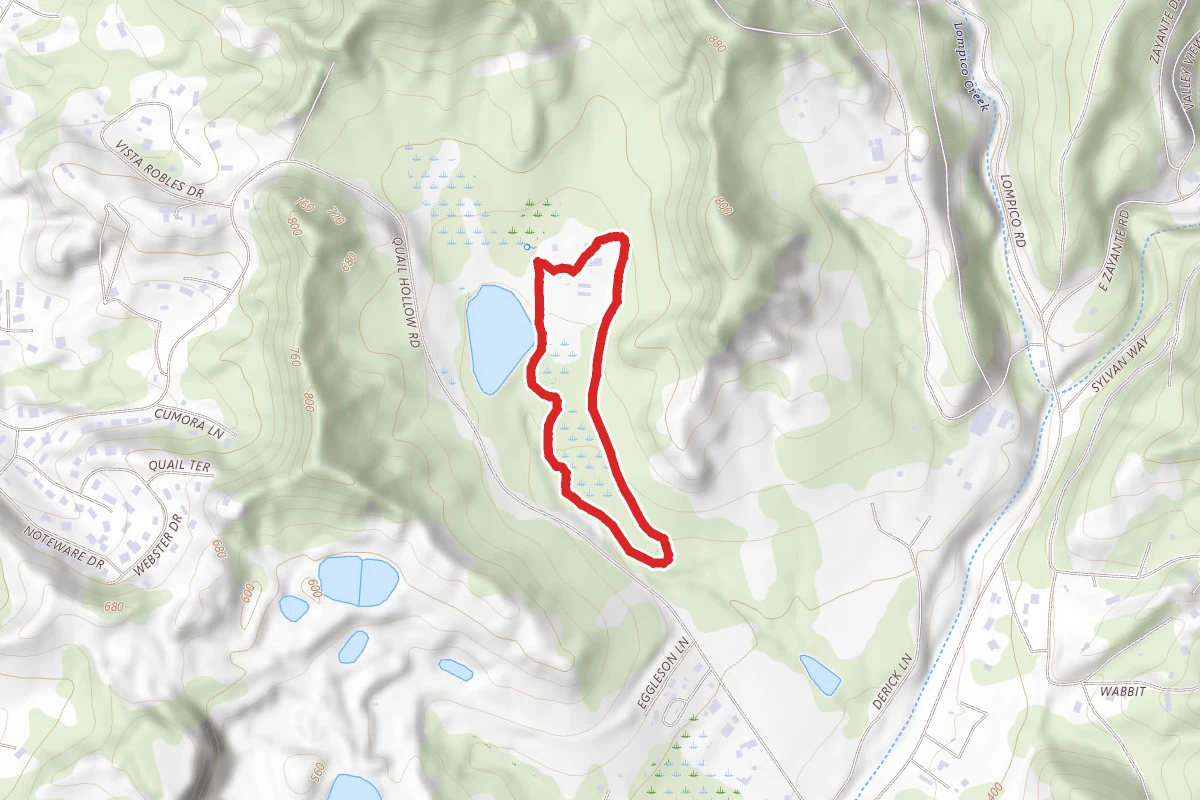 Discovery Loop