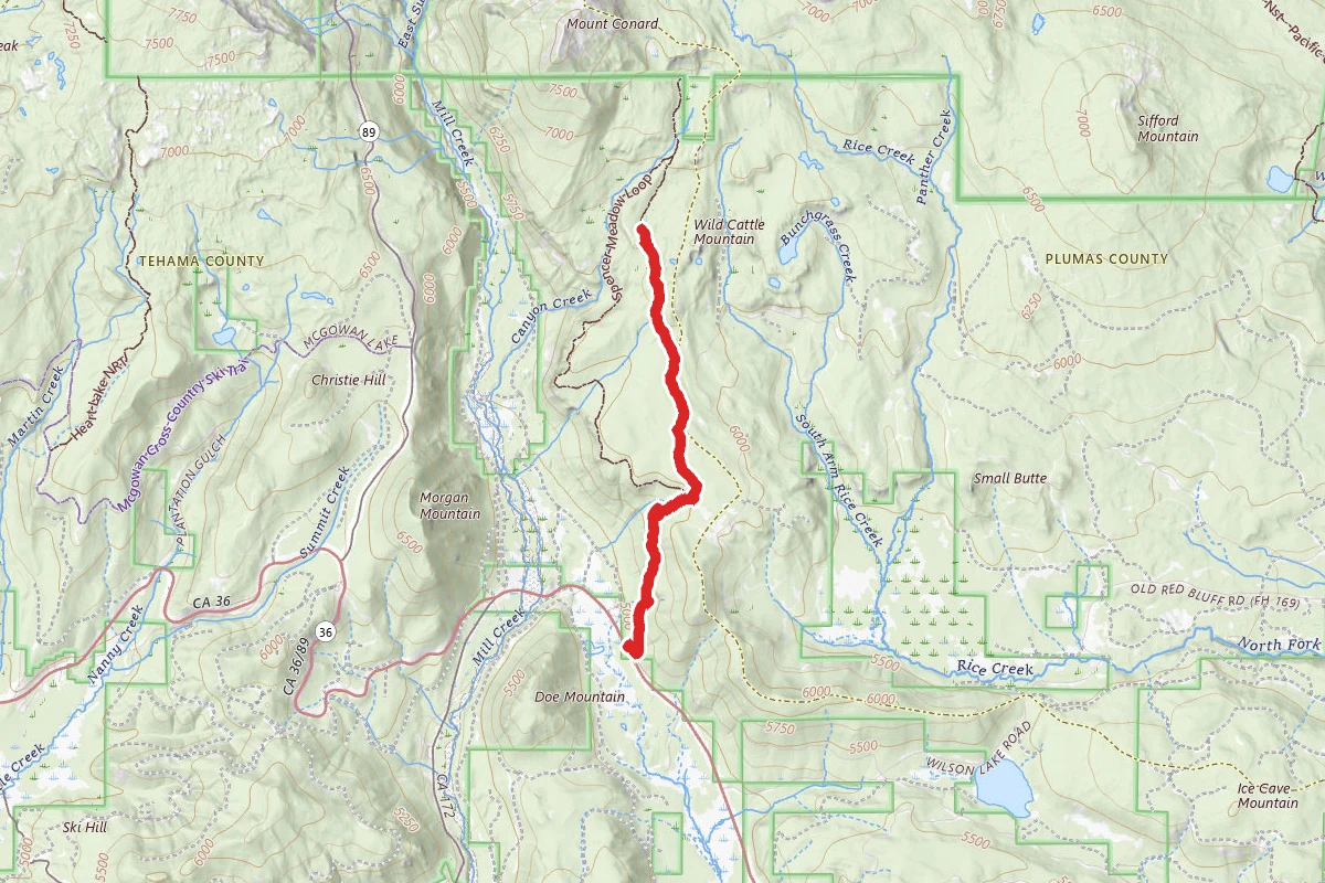 Spencer Meadows Trail