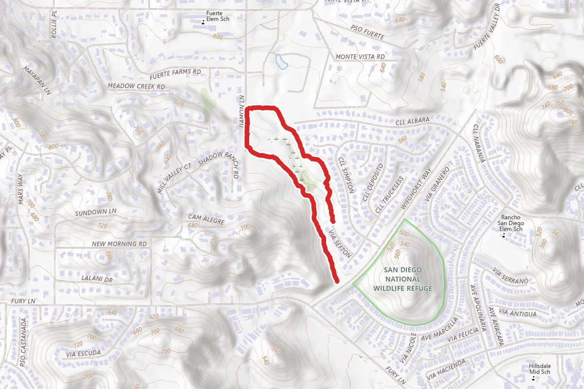 Damon Lane Loop