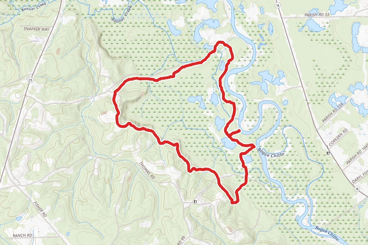 Bogue Chitto State Park Gorge Run Trail