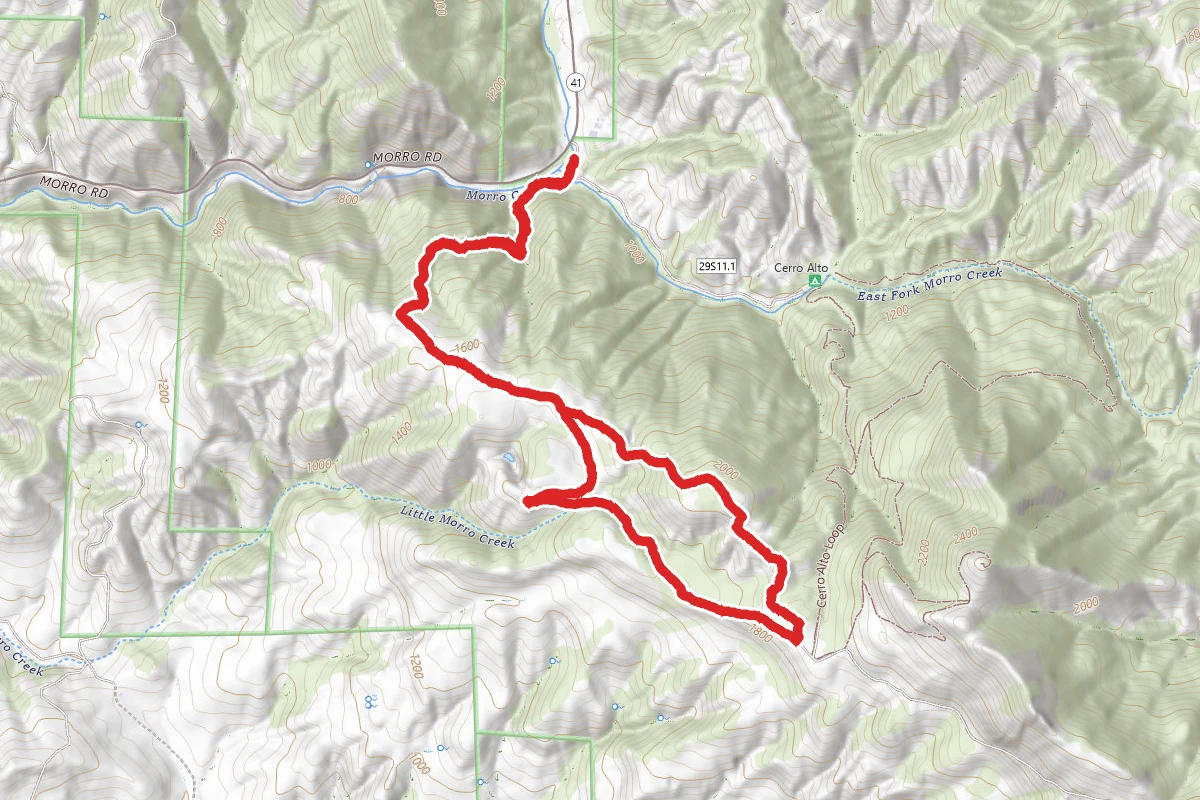 Boy Scout Trail to Jinah Grove Loop