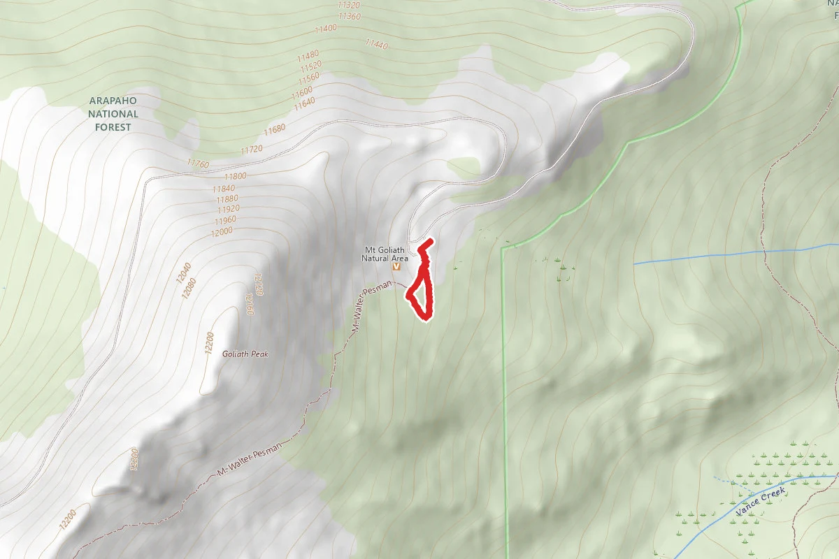 Mount Goliath Natural Area Loop